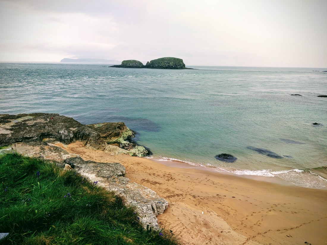 IMG_20190519_125121-EFFECTS