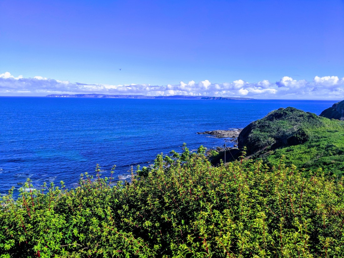 IMG_20190521_095433-EFFECTS